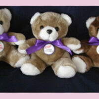 Stop Family Violence - Teddy Bear