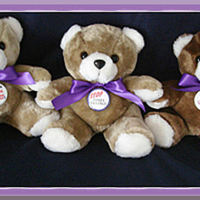 Purple Ribbon 9" Plush Teddy Bear