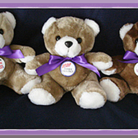 There's No Excuse For Domestic Violence - Teddy Bear