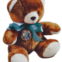 STOP SEXUAL ASSAULT- 9" Plush Teddy Bear