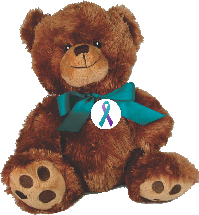 embroidered teddy bears for babies