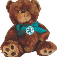 SPEAK OUT AGAINST SEXUAL ASSAULT- 10" Plush Teddy Bear