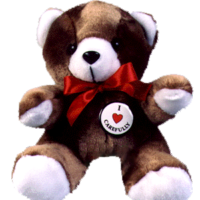 "I LOVE CAREFULLY" - Teddy Bear